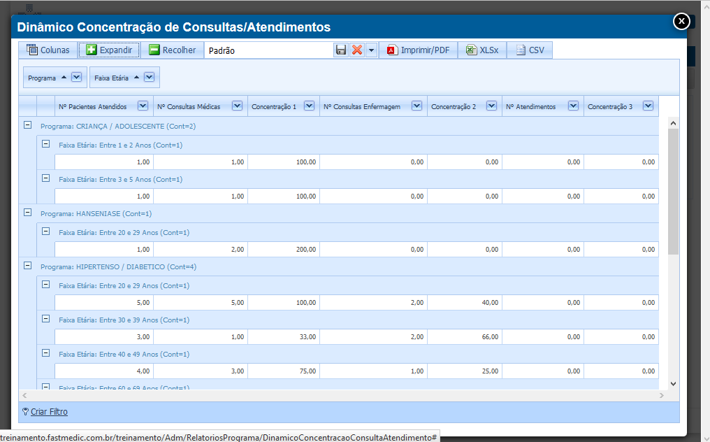 Imagem demonstrativa de Concentração de Consultas/Atendimentos